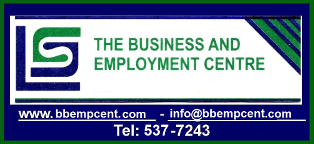 The Business and Employment Centre