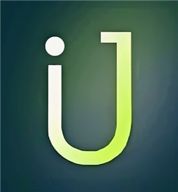 Joy Credit Software LLC